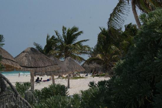 My Tulum Cabanas Ngoại thất bức ảnh